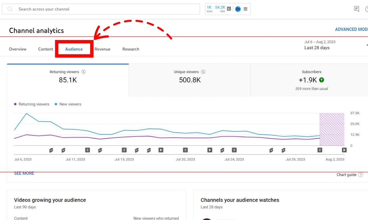 Audience Analytics (Behavior Insights)